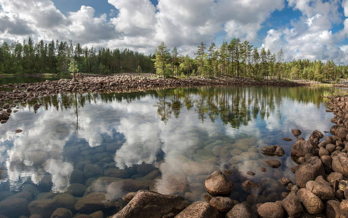 «Ладога» и Ladoga Forest